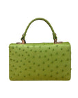 Real ostrich Maya top handle bag, green, back
