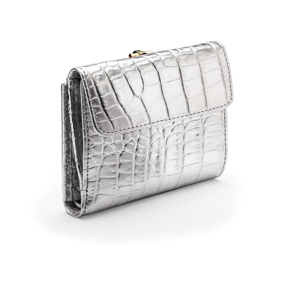 Leather purse with brass clasp, silver croc, coin purse