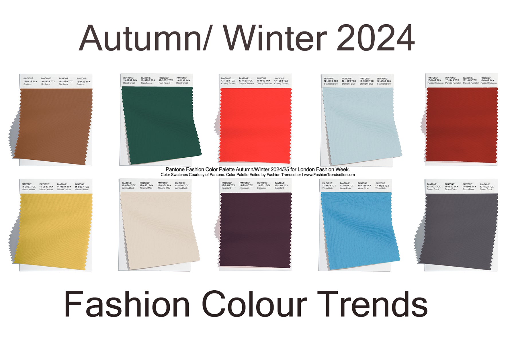 Autumn Winter 2024 Fashion Colour Trends | Blog | SageBrown