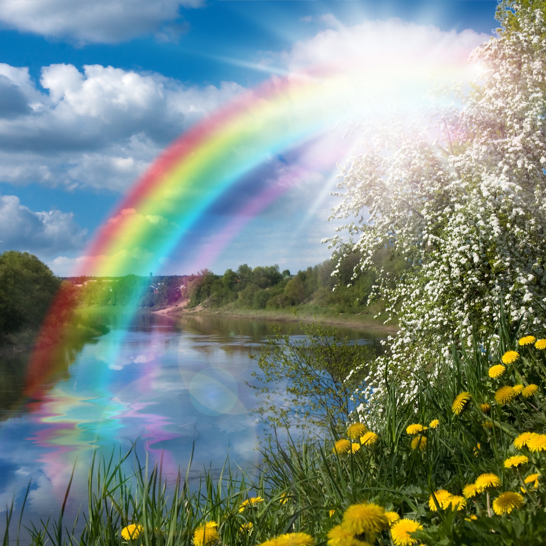 Handbags, All Colours of the Rainbow