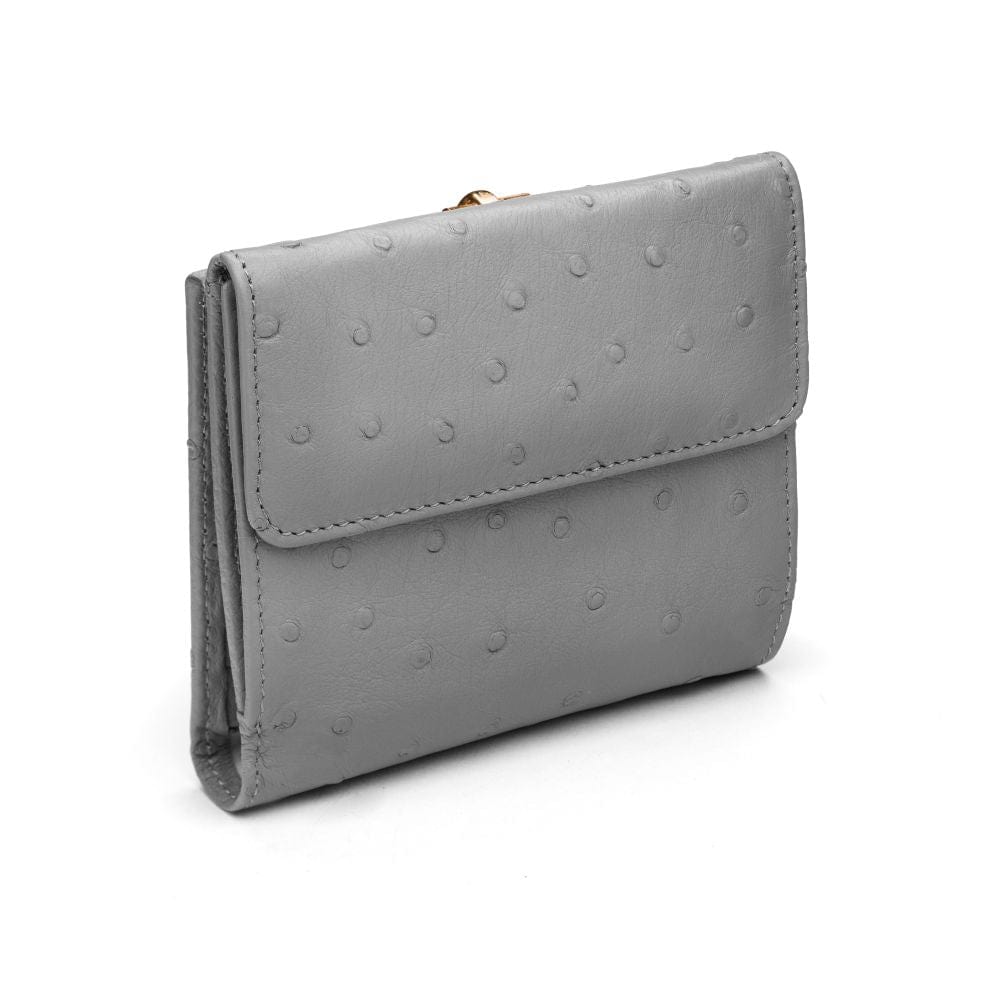 Ostrich leather purse with equestrain clasp, grey ostrich, back