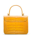 Small leather top handle bag, yellow croc, back